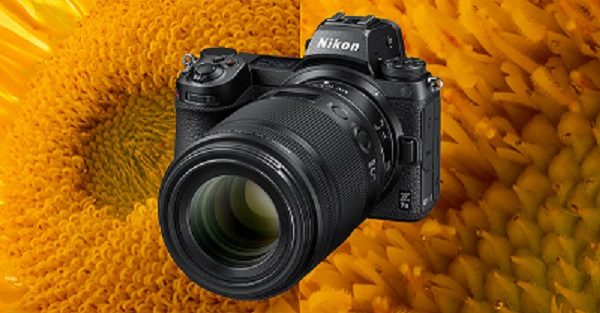 Best Cameras for Photography